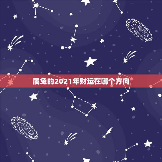 属兔的2021年财运在哪个方向,2021年兔子的运势如何 属兔的2021年财运在哪个方向,2021年兔子的运势如何