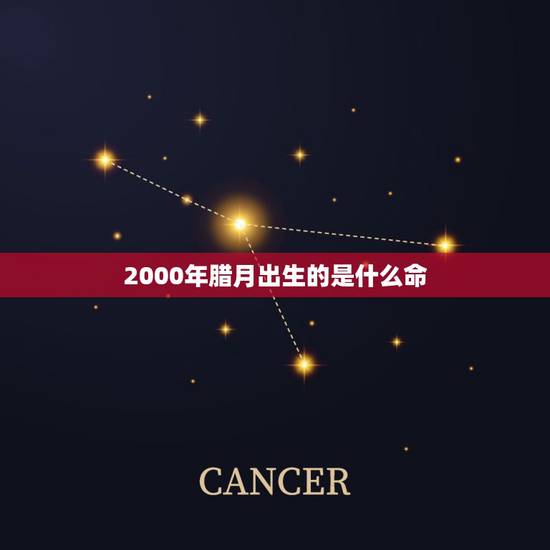 2000年腊月出生的是什么命,2000年出生的是什么命 2000年腊月出生的是什么命,2000年出生的是什么命