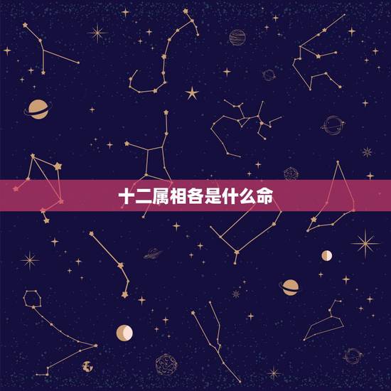 十二属相各是什么命,存款最多的生肖女 十二属相各是什么命,存款最多的生肖女