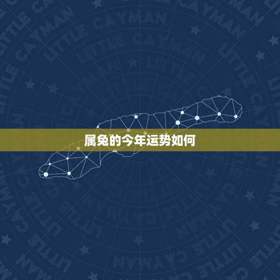属兔的今年运势如何,属马2022 年运势及运程详解 属兔的今年运势如何,属马2022 年运势及运程详解