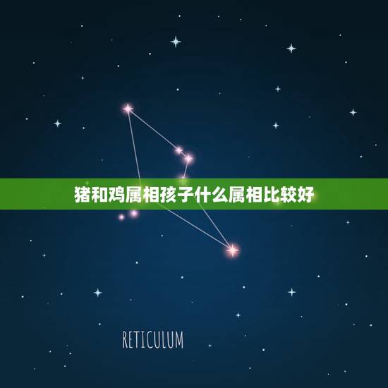 猪和鸡属相孩子什么属相比较好,属鸡和属猪的夫妻,生什么属相的宝宝好? 猪和鸡属相孩子什么属相比较好,属鸡和属猪的夫妻,生什么属相的宝宝好?
