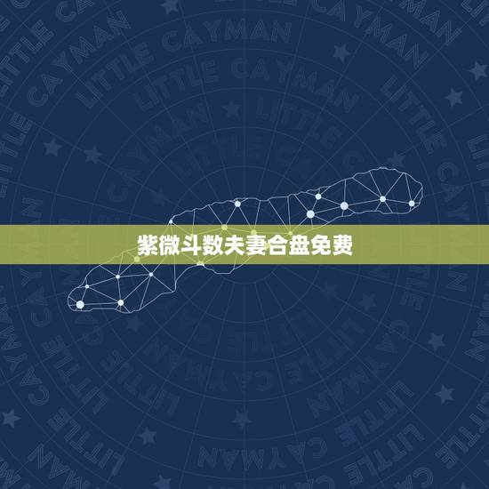 紫微斗数夫妻合盘免费,请大师帮忙看下情侣紫微合盘(答案满意追加100~ 紫微斗数夫妻合盘免费,请大师帮忙看下情侣紫微合盘(答案满意追加100~