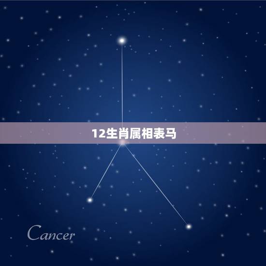 12生肖属相表马，12生肖属相配对表