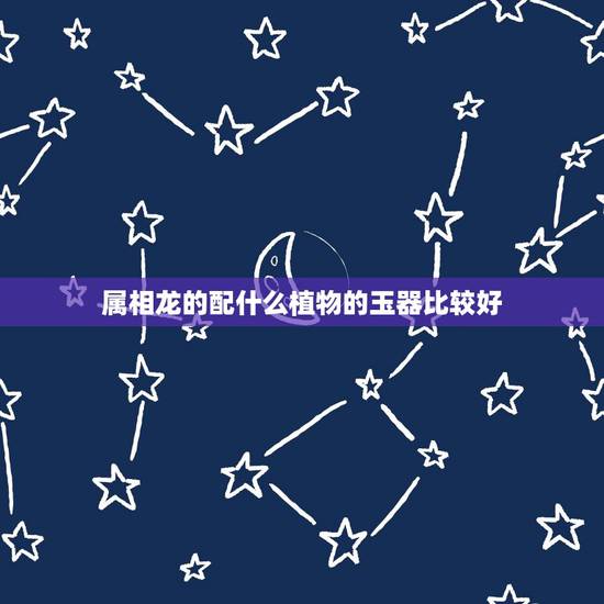 属相龙的配什么植物的玉器比较好,生肖龙佩戴什么图案的玉好 属相龙的配什么植物的玉器比较好,生肖龙佩戴什么图案的玉好