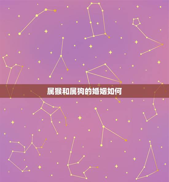 属猴和属狗的婚姻如何,92男属猴94女属狗配吗 属猴和属狗的婚姻如何,92男属猴94女属狗配吗