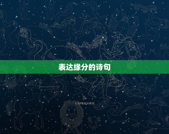 表达缘分的诗句，关于缘分诗句大全