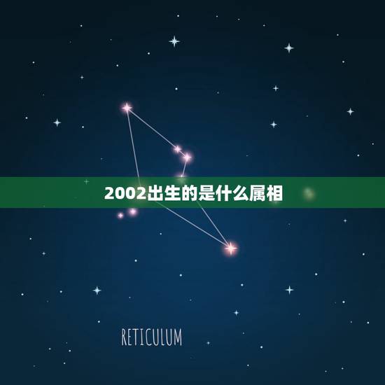 2002出生的是什么属相，我是2002年出生的是什么生肖什么星座的