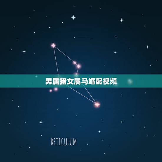 男属猪女属马婚配视频，男属猪女属马配吗
