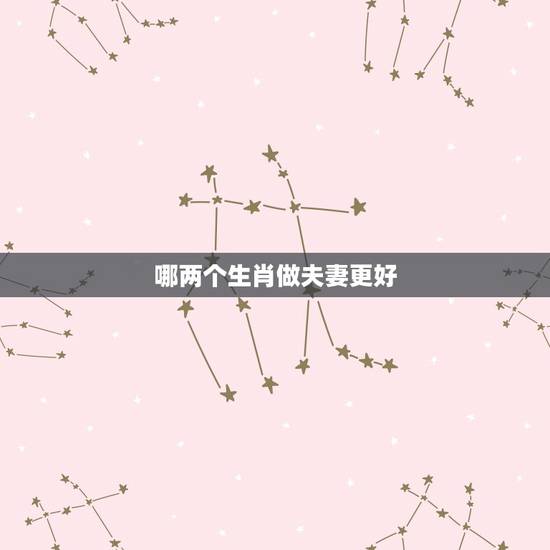 哪两个生肖做夫妻更好，更佳夫妻属相婚配表