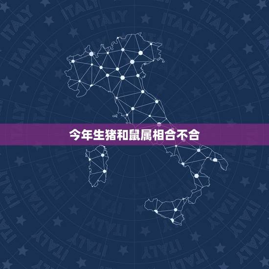 今年生猪和鼠属相合不合,属猪属鼠合不合? 今年生猪和鼠属相合不合,属猪属鼠合不合?