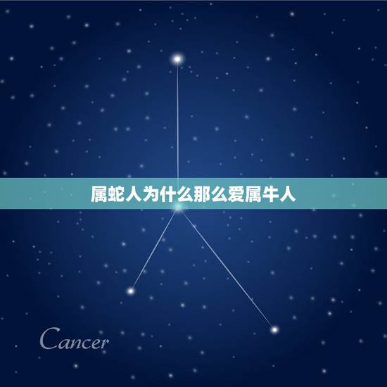 属蛇人为什么那么爱属牛人,属牛与属蛇合作伙伴 属蛇人为什么那么爱属牛人,属牛与属蛇合作伙伴