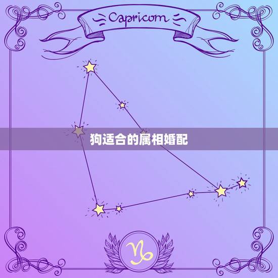 狗适合的属相婚配,属狗的人和什么属相相配最好 狗适合的属相婚配,属狗的人和什么属相相配最好