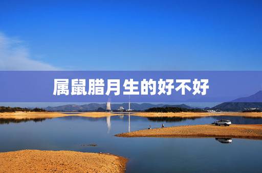 属鼠腊月生的好不好,2022 年几月份的鼠命好 属鼠腊月生的好不好,2022 年几月份的鼠命好
