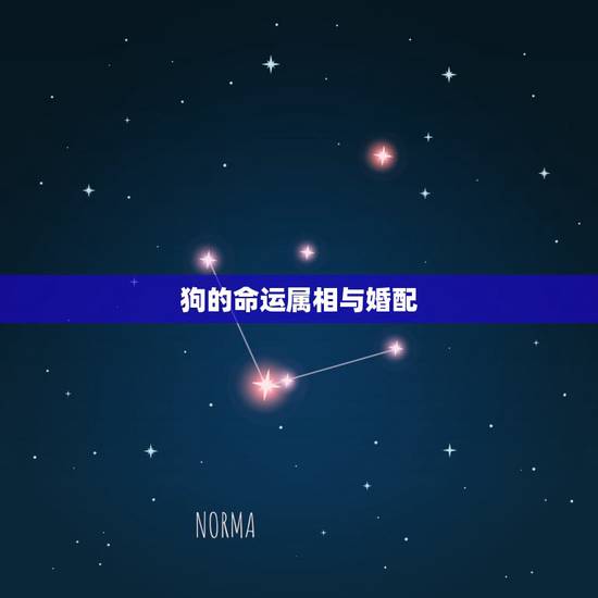 狗的命运属相与婚配，属狗婚配和什么属相合适