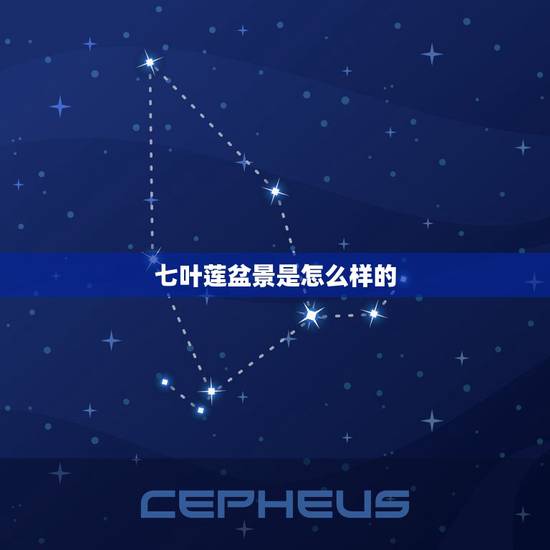 七叶莲盆景是怎么样的，农村俗称“七叶莲”的植物，有什么功效和作用呢？