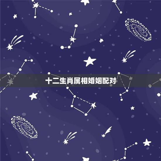 十二生肖属相婚姻配对,十二生肖更佳婚配大全 十二生肖属相婚姻配对,十二生肖更佳婚配大全