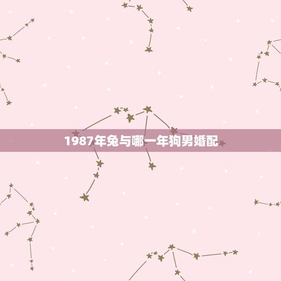 1987年兔与哪一年狗男婚配，82年男狗和87年女兔配吗？适合结婚吗？
