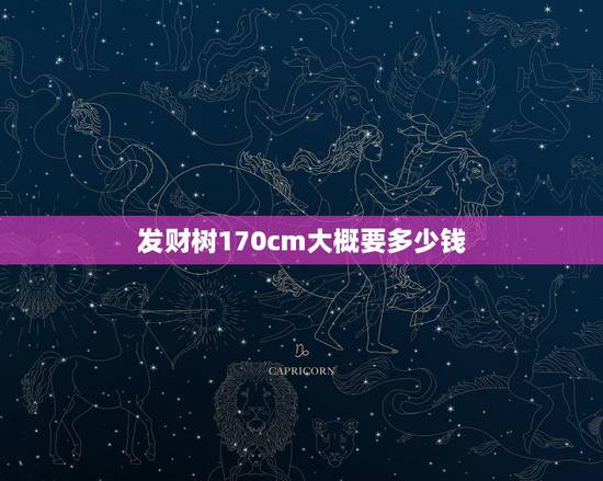 发财树170cm大概要多少钱,发财树多少钱一盆? 发财树170cm大概要多少钱,发财树多少钱一盆?
