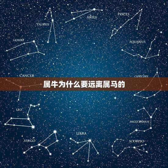 属牛为什么要远离属马的,属牛和属马的合吗 属牛为什么要远离属马的,属牛和属马的合吗