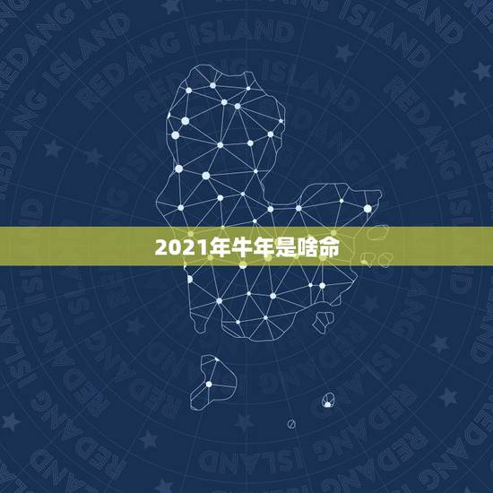 2021年牛年是啥命，2021年什么命