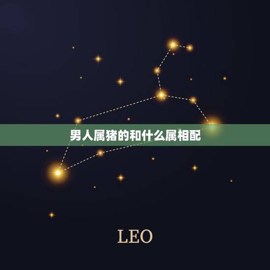 男人属猪的和什么属相配，属猪的和哪些属相相配