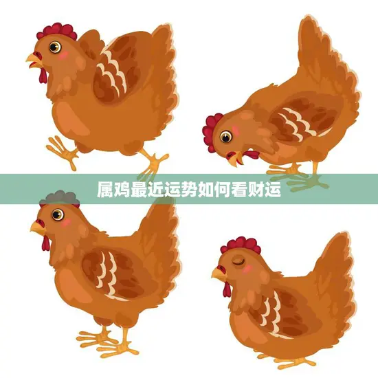 属鸡最近运势如何看财运(财运旺盛财源滚滚来) 属鸡最近运势如何看财运(财运旺盛财源滚滚来)