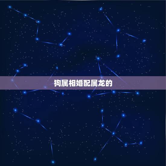 狗属相婚配属龙的,属龙的可以和属狗的配吗 狗属相婚配属龙的,属龙的可以和属狗的配吗