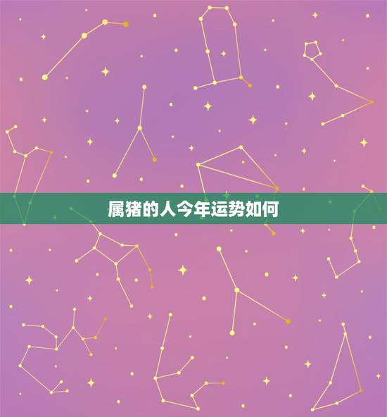 属猪的人今年运势如何,2021年属猪1971年运势 属猪的人今年运势如何,2021年属猪1971年运势