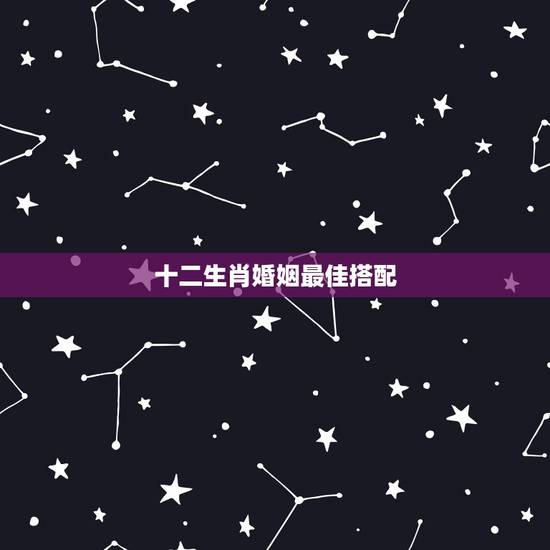 十二生肖婚姻最佳搭配，十二生肖属相婚姻相配