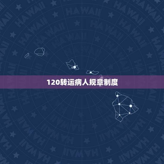 120转运病人规章制度,危重病人转运制度及抢救程序,急用,谢谢 120转运病人规章制度,危重病人转运制度及抢救程序,急用,谢谢
