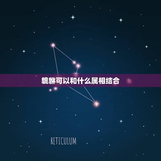 貔貅可以和什么属相结合,什么属相不能带貔貅? 貔貅可以和什么属相结合,什么属相不能带貔貅?