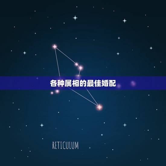 各种属相的最佳婚配，属蛇和什么属相最配 属蛇的最佳配偶