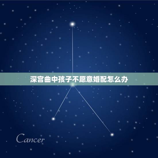 深宫曲中孩子不愿意婚配怎么办,深宫曲怎么加独立 深宫曲中孩子不愿意婚配怎么办,深宫曲怎么加独立