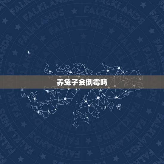 养兔子会倒霉吗，兔子有灵性的表现