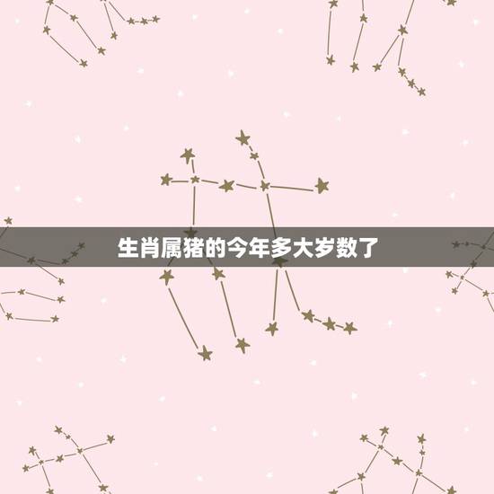 生肖属猪的今年多大岁数了，71年属猪49和50岁命运