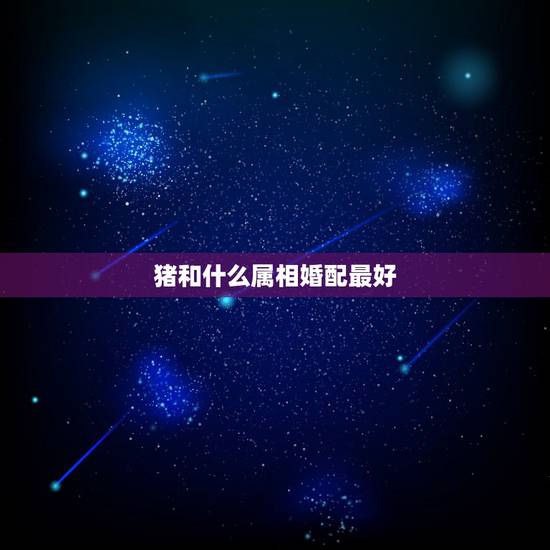 猪和什么属相婚配最好,属猪的男人和什么属相最配 猪和什么属相婚配最好,属猪的男人和什么属相最配