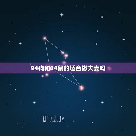 94狗和84鼠的适合做夫妻吗,84年属鼠男和94年属狗女配吗? 94狗和84鼠的适合做夫妻吗,84年属鼠男和94年属狗女配吗?