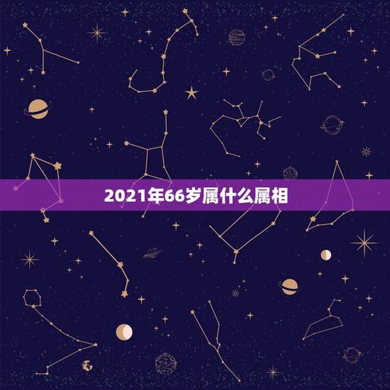 2021年66岁属什么属相，2021年28岁属什么生肖