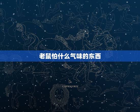 老鼠怕什么气味的东西,老鼠最怕什么气味驱赶 老鼠怕什么气味的东西,老鼠最怕什么气味驱赶