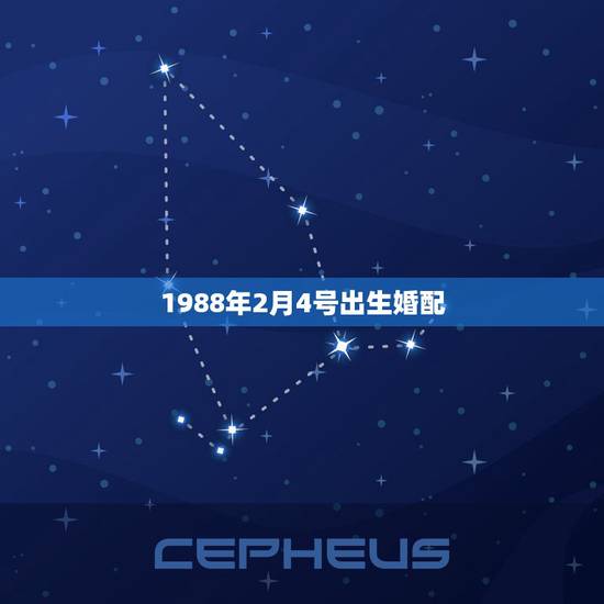 1988年2月4号出生婚配，1988年2月4号出生的属龙女是什么命