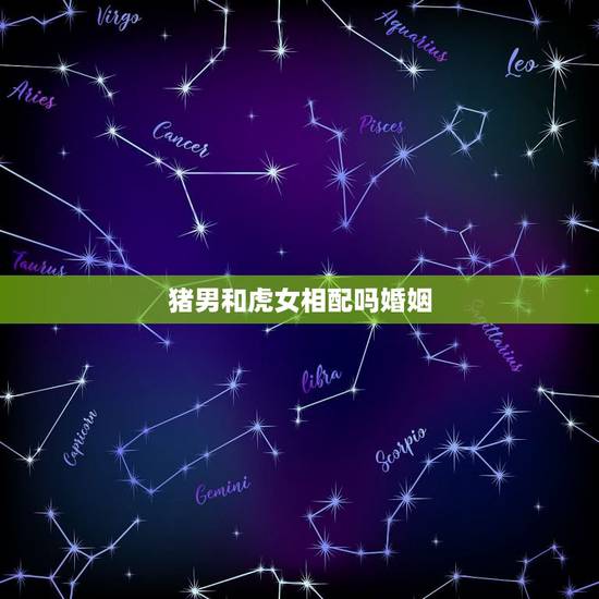猪男和虎女相配吗婚姻，女虎和男猪谁付出的多