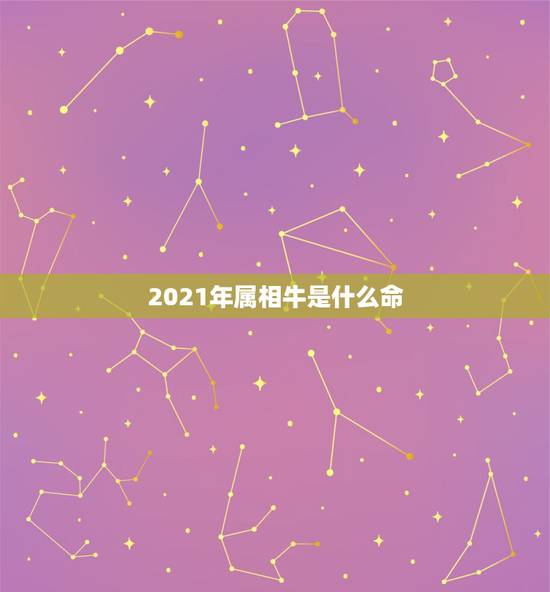 2021年属相牛是什么命,2021年牛年五行属什么 2021年属相牛是什么命,2021年牛年五行属什么