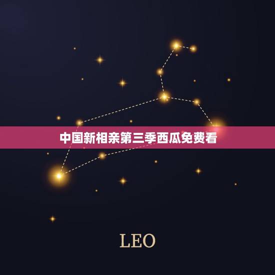 中国新相亲第三季西瓜免费看，新相亲大会第三季什么时候开播