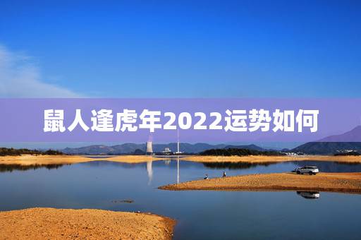 鼠人逢虎年2022运势如何，属鼠人虎年运势2022