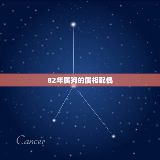 82年属狗的属相配偶,1982年属狗的男生和什么属相最配 82年属狗的属相配偶,1982年属狗的男生和什么属相最配