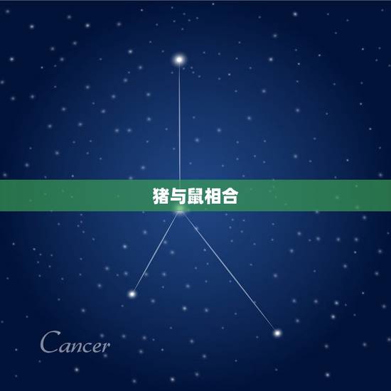 猪与鼠相合 猪与鼠相合