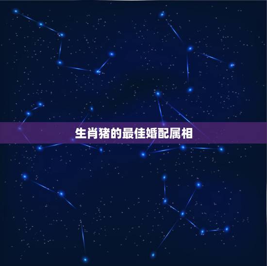 生肖猪的最佳婚配属相，属相婚配表之属猪的和什么属相最配