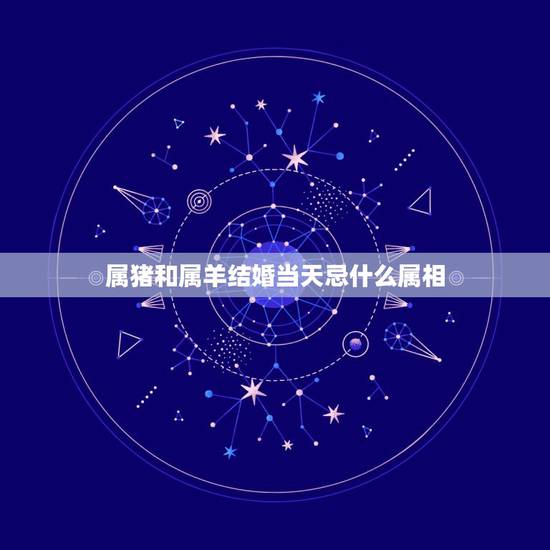 属猪和属羊结婚当天忌什么属相,属马和属猪的合不合 属猪和属羊结婚当天忌什么属相,属马和属猪的合不合