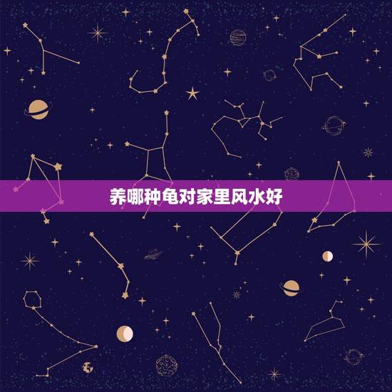养哪种龟对家里风水好,乌龟放在家里什么位置好 养哪种龟对家里风水好,乌龟放在家里什么位置好