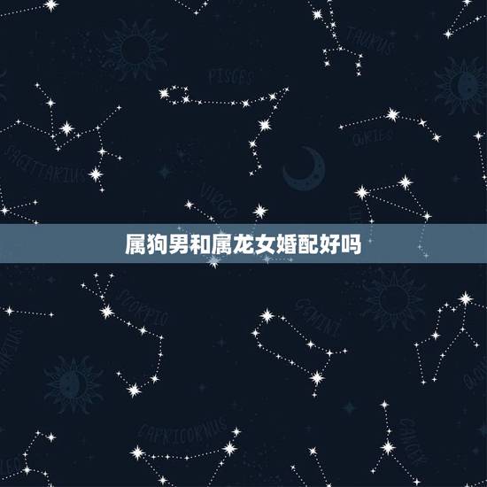 属狗男和属龙女婚配好吗，属狗男和属龙女为什么不能在一起